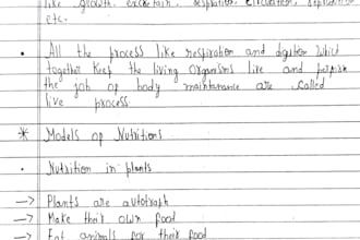 create neat and easy to understand handwritten study notes