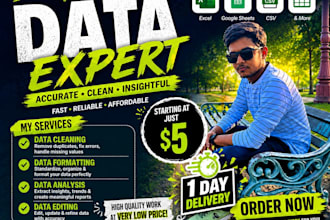clean organize and analyze your data professionally