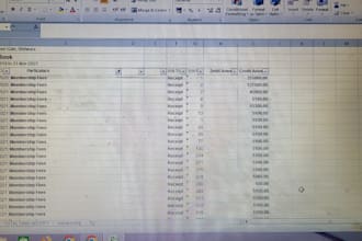 accurate and hardworking data entry