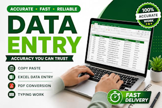 do accurate excel data entry and copy paste work