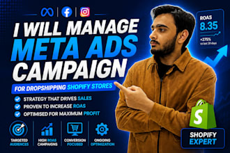 manage meta ads campaign for dropshipping shopify stores