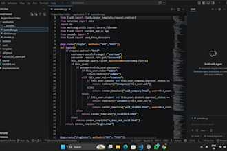 python bugs and errors professionally