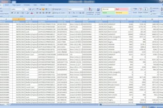 do data entry work and cleaning up excel data