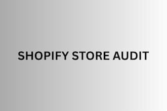 design a shopify store audit