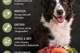 ich schreibe professionelle texte über hundeernaehrung und bachblueten