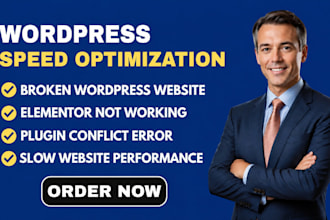 fix wordpress bugs, speed optimization, elementor and plugin errors