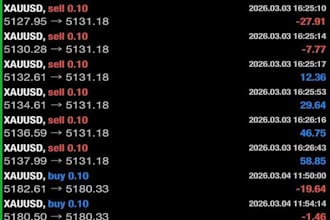provide you profitable forex trading bot, forex ea, trading bot, forex bot