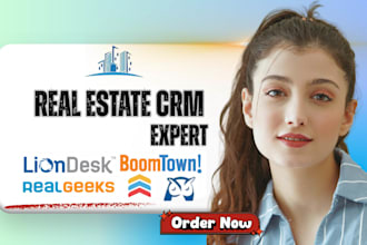 real estate crm boomtown liondesk real geeks wiseagent boldleads idx website crm