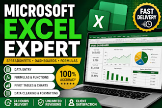 be your microsoft excel expert for spreadsheets dashboards and formulas
