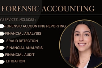 be your senior auditor for forensic accounting and fraud investigation