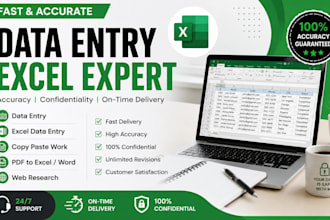 do fast and accurate data entry and ms excel work
