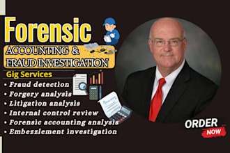 do forensic accounting, fraud investigation, audit  report, transaction review