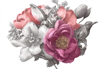 draw hand drawn botanical line art illustration of flowers