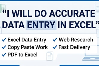 accurate data entry, copy paste, web research and excel work