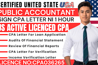 usa certified public accountant audit profit and loss financial statement in 1hr