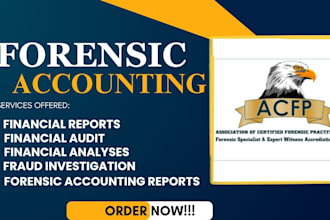 do due diligence, fraud investigation, asset tracing, and transaction review