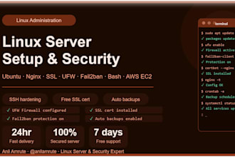 set up, secure, and automate your linux server on AWS or vps