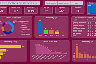 create professional power bi dashboards, HR analytics reports
