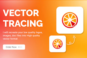 manual vector tracing, png to vector files in high quality