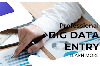 big data entry input