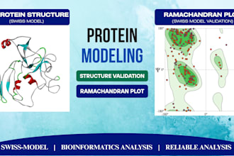 do protein structure modeling and validation