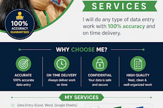 do fast and accurate data entry in excel within 2 hours