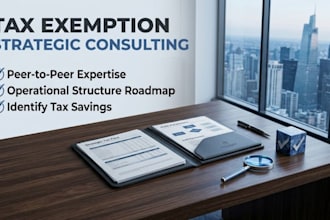 provide non profit tax consulting for 501c3 and business tax savings