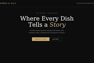 build a modern professional website for your business