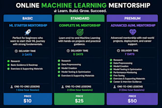 provide complete ml mentorship