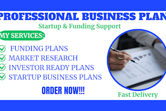 write professional business plan for startup and funding