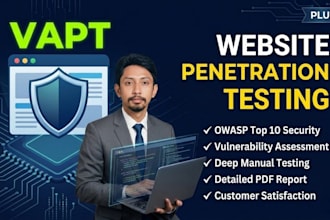 perform professional vapt and network penetration testing
