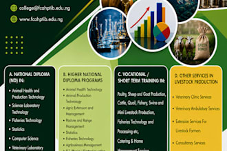 design professional flyers, posters and logo