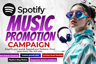 setup spotify campaign promotion spotify music promotion for your music track