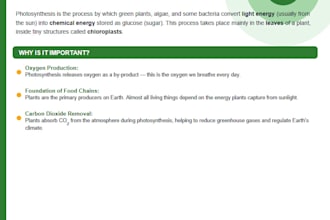 create custom study guides and exam summaries for any subject