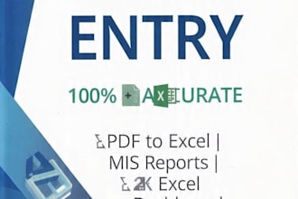 do fast accurate data entry back office work and mis reports
