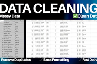 data cleaning and excel formatting expert