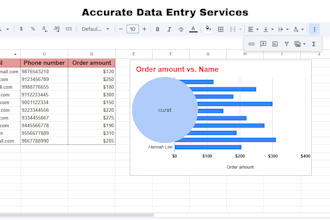 provide reliable data entry and excel spreadsheet work