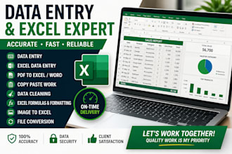 do data entry excel work and pdf conversion