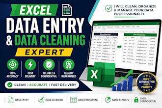 excel data entry and formatting