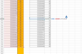 provide excel solutions or 1 on 1 tutoring