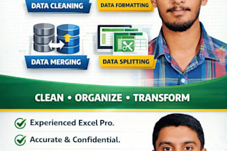create professional dashboards, organize and analyze data