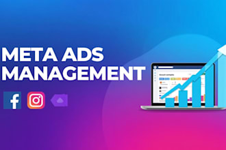 optimize meta ads for leads and sales