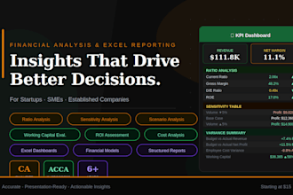 do financial analysis and excel reporting