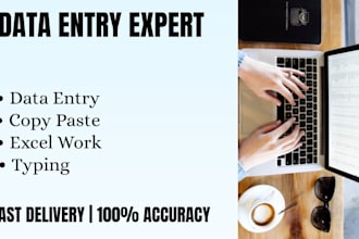 do data entry, copy paste, typing and excel work