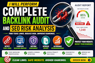 perform a complete backlink audit and SEO risk analysis