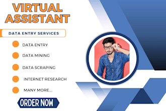 be your professional VA
