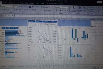be a excel expert data analysis