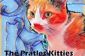 post my cat photos