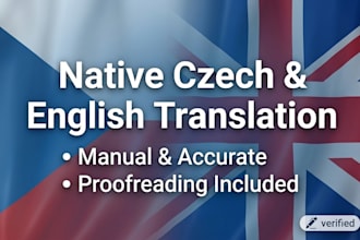 provide professional czech to english and english to czech translation
