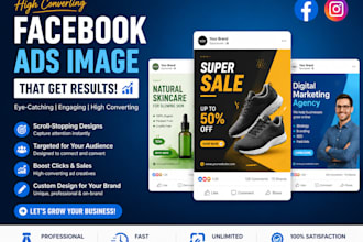 setup and manage facebook ads, conversion with fb pixel and